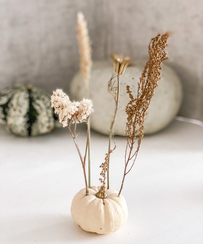 DIY Herbstdeko mit Baby boo Kuerbis und Trockenblumen sophiagaleria
