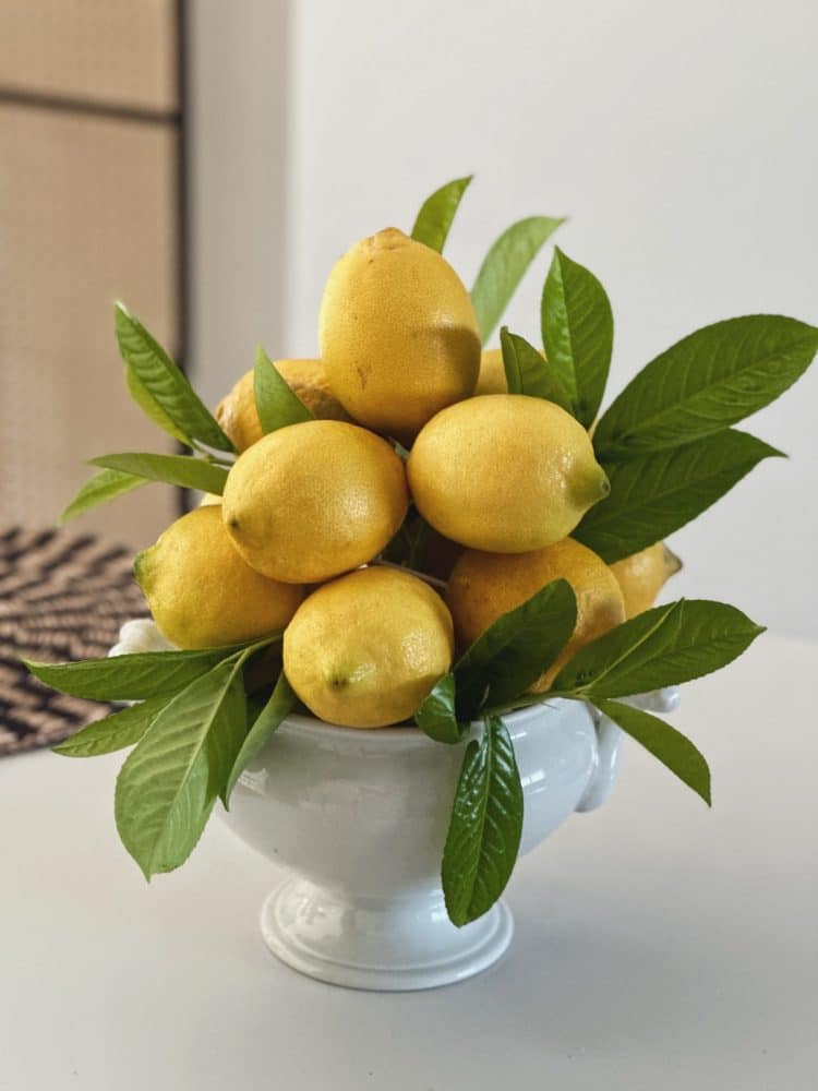 Sommer Deko - DIY Zitronen Centerpiece - sophiagaleria
