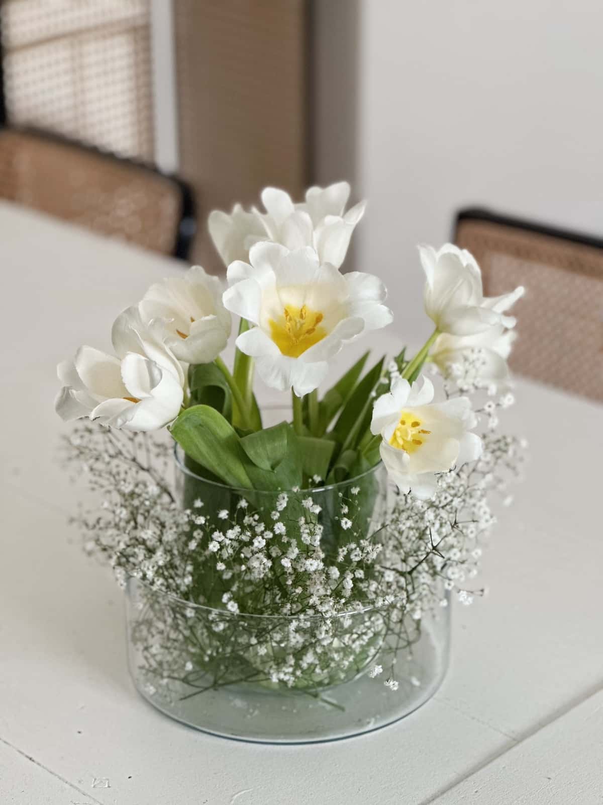 Tulpen Mit Schleierkraut